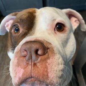 Meet your Posher, Robyn